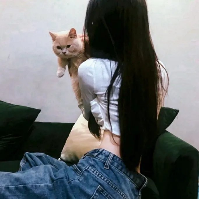 西环浮尸